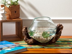 Natural Wood Glass Aquarium Fishbowl Ornamental Plant