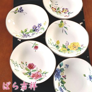 Mino ware Main Plate Gift Set Pottery Indigo Assortment