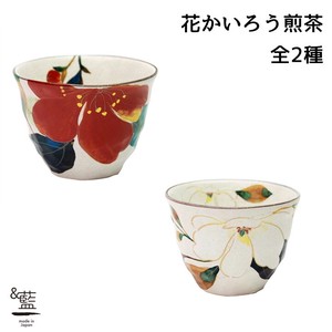 Mino Ware Pottery 1Pc Hana Kairo Japanese Tea Bowl 2 type Camellia Magnolia