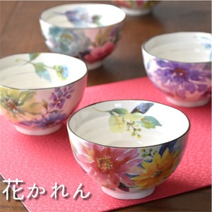 Mino ware Rice Bowl Gift Set Pottery Indigo Assortment
