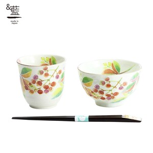 Mino Ware Gift Hana Kotoba Rice Bowl Japanese Tea Cup Nandina Chopstick