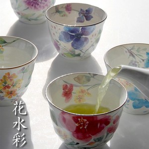 Mino Ware Gift Hana suisai 5 Pot Tea Utensils