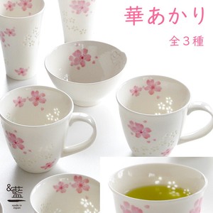 Japanese Teacup Drinks Indigo 3-types