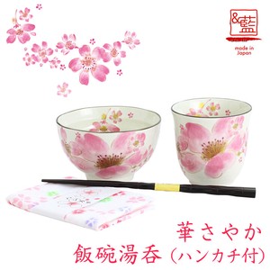 Mino ware Rice Bowl Gift Pottery Indigo