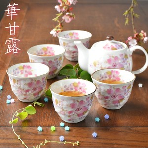 Mino ware Japanese Teacup Gift Pottery Indigo