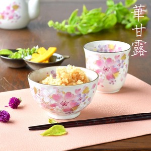 Mino ware Rice Bowl Gift Pottery Indigo