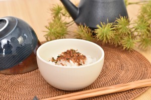Mino ware Donburi Bowl White Made in Japan