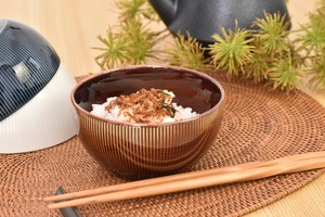 Mino ware Donburi Bowl Candy Western Tableware Made in Japan