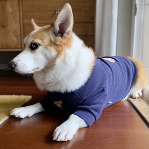 犬用服装 上衣 长袖
