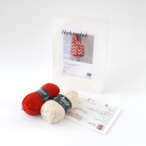 Kit 1 1 Weaving Pattern Bag