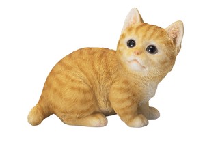 【エイチツーオー】子猫置物　チャトラ
