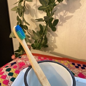 Toothbrushe Colorful
