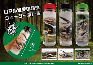 Water Flask Real Insect Water Bottle