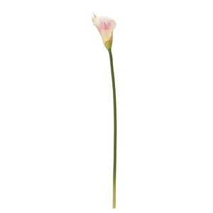 【asca】【アスカ商会】カラーリリィ　1色　造花