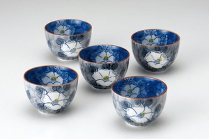 Japanese Teacup Arita ware Set of 5 Made in Japan