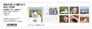【予約品】日なたぼっこ猫だより 2023年 卓上カレンダー《 5/30(月) 予約〆切り》