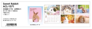 【予約品】Sweet Rabbit 2023年 卓上カレンダー《 5/30(月) 予約〆切り》