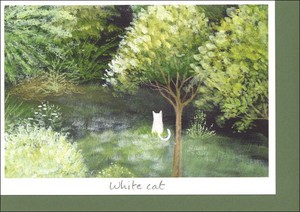 Greeting Card White-cat