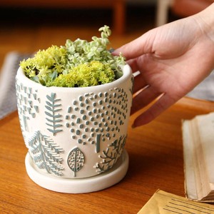 Planter Forest