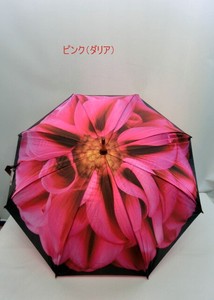 通年新作）雨傘・長傘-婦人　アート傘シリーズサテン生地フラワー柄手開き傘
