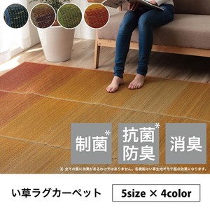 Tatami Mat Soft Rush Nonwoven-fabric Clear