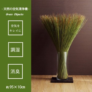 Made in Japan Made in Japan Rush Interior Objects Air Cleaning Natural Plant Ornament 9 5
