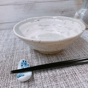 Mino ware Main Dish Bowl Ramen Udon Pottery Made in Japan