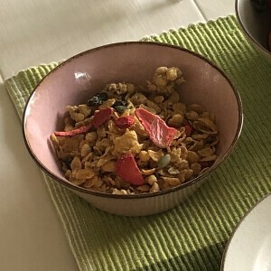 丼饭碗/盖饭碗 粉色 日本制造