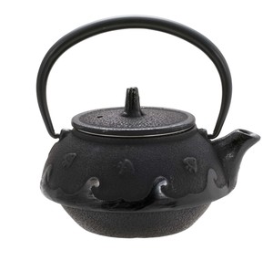 Nambu tekki Japanese Tea Pot