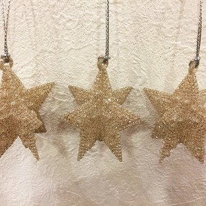 Pre-order Ornament Star Ornaments