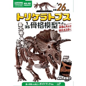 Triceratops Model Kit Poster