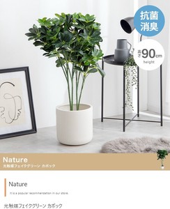 【直送可】【高さ90cm】Nature 光触媒人工観葉植物 カポック