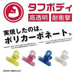 polycarbonate Color Clip Pack Type Clear