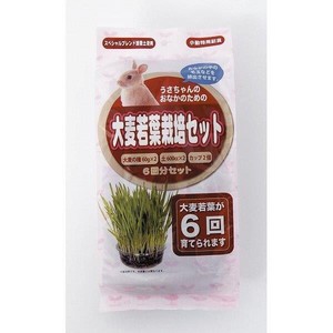 アラタ　うさちゃん用大麦若葉栽培セット6回分セット