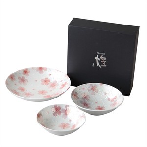 Mino Ware Porcelain Gift Set Bowl Fancy Box