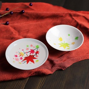 Autumn Colors Cup Temperature Change Mino Ware Made in Japan