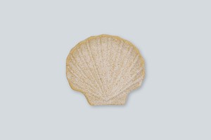 小皿　豆皿　日本製　陶器　俊峰陶苑