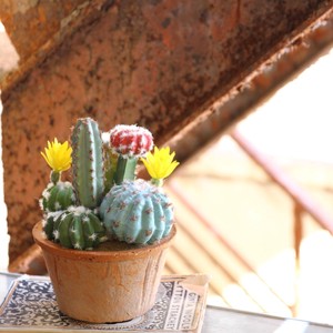 Artificial Plants Flower Cactus Brought Round Pot Size M