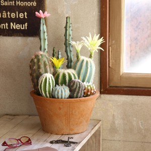 Artificial Plants Flower Cactus Brought Round Pot Size L