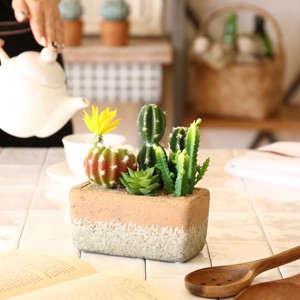 Artificial Plants Flower Cactus Brought Lecht Pot Size S