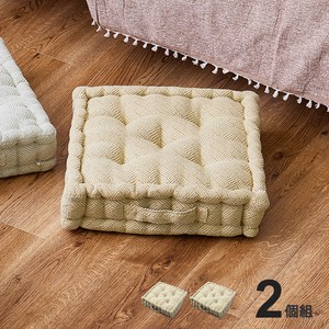 Cushion 2-pcs 42 x 42 x 10cm