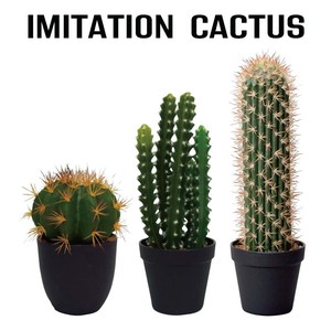 Appreciation SALE GREEN Imitation Cactus