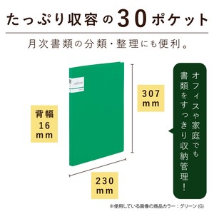 File A4 30 Pocket