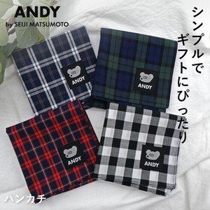 【ハンカチ】 綿薄地ハンカチ チェック 綿 ギフト プチギフト ねずみのANDY 母の日