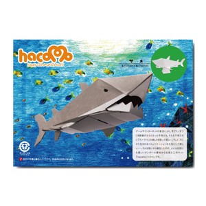 Experiment/Craft Kit Series Shark Dumbo kids