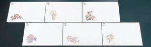 抗菌和紙 尺三まっと（100枚入）