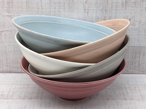 Mino ware Main Dish Bowl 22cm