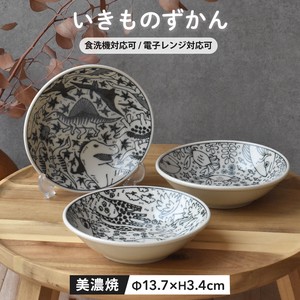 Side Dish Bowl Encyclopedia of Life M Made in Japan