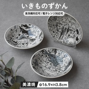 Main Dish Bowl Encyclopedia of Life Made in Japan