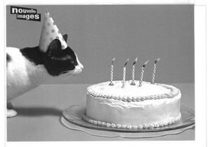 France Imports Greeting Card Envelope Attached Monochrome cat Cake Birthday